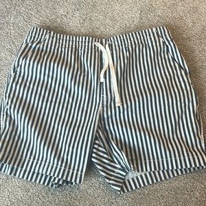 J. Crew Blue and White Striped Men's Shorts